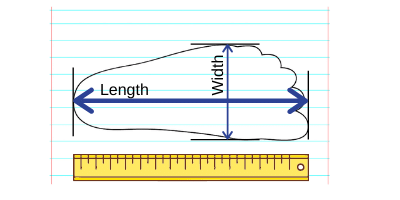 Shoe Sizing Guide: How To Measure Your Shoe Size & Width