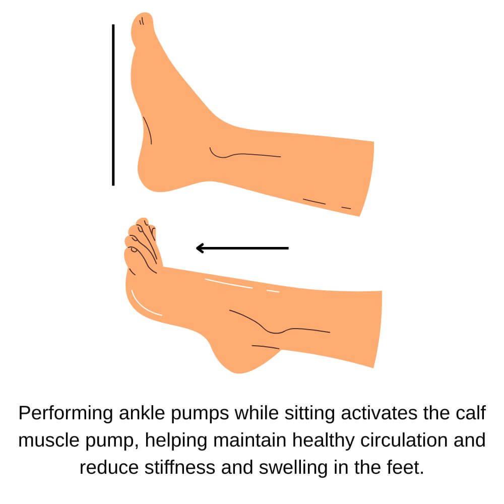 Illustration of ankle pumps to help maintain healthy circulation and reduce stiffness and swelling in the feet.