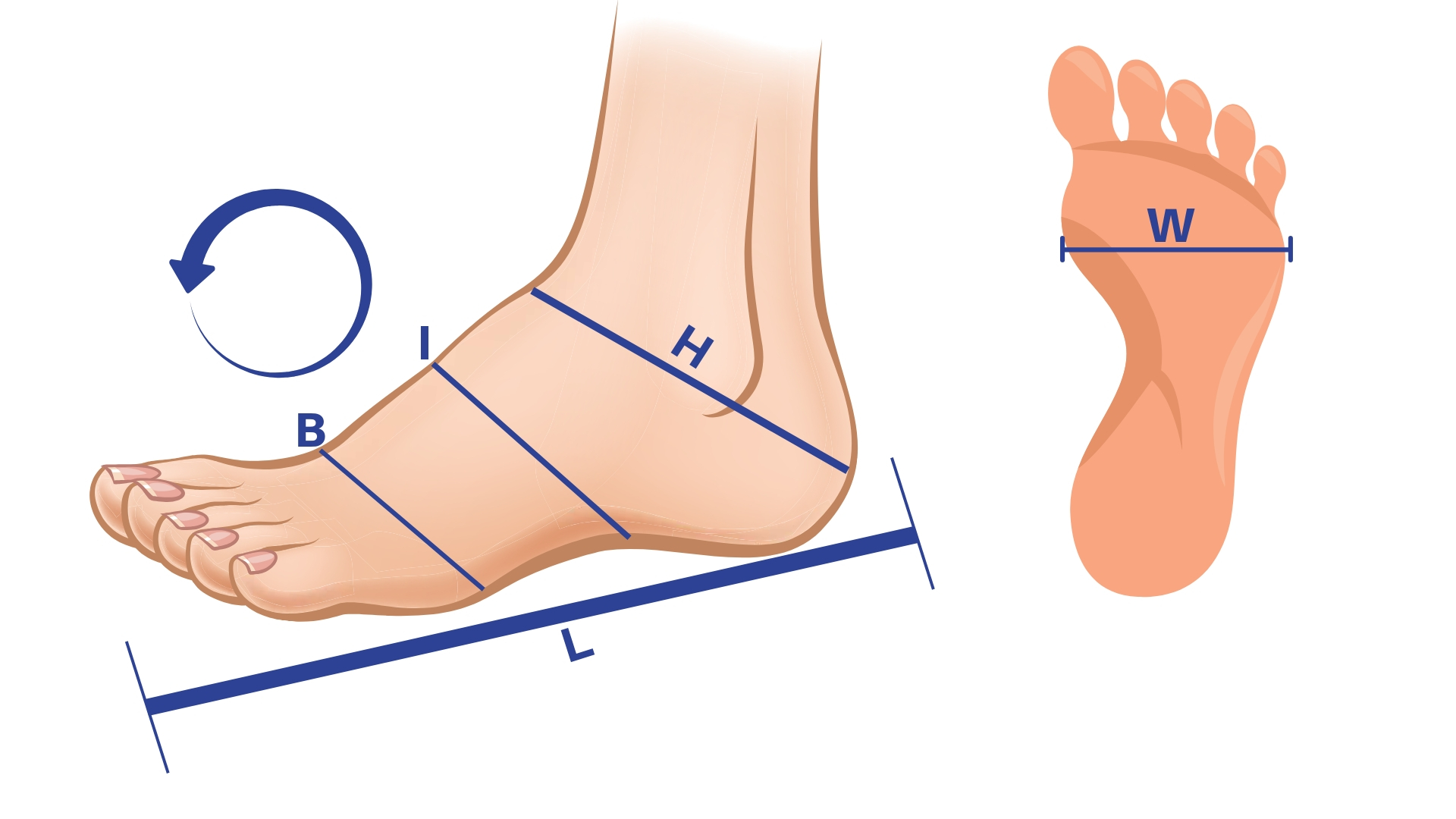 Measuring Foot Diagram